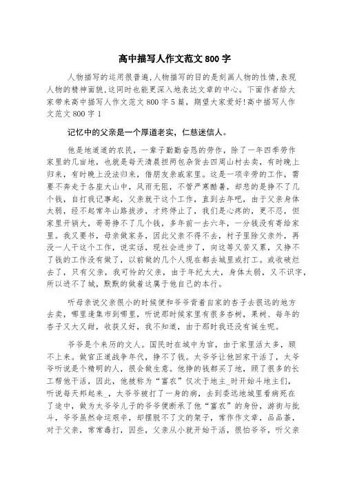 高中描写人作文范文800字