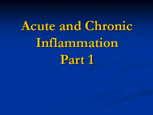 病理学见习课课件：Inflammation+1