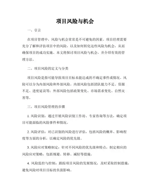 项目风险与机会