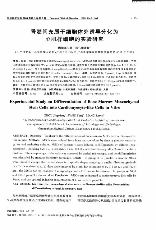 骨髓间充质干细胞体外诱导分化为心肌样细胞的实验研究