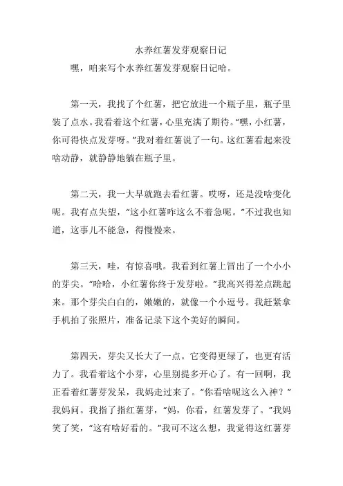 水养红薯发芽观察日记