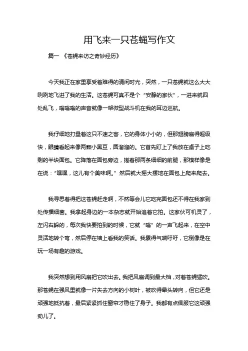 用飞来一只苍蝇写作文