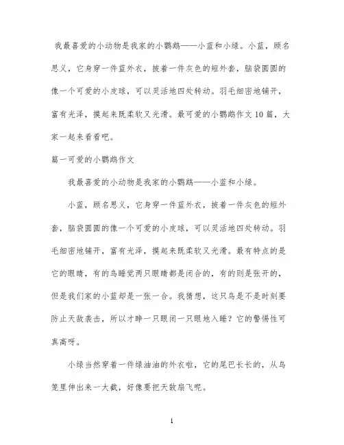 可爱的小鹦鹉作文10篇