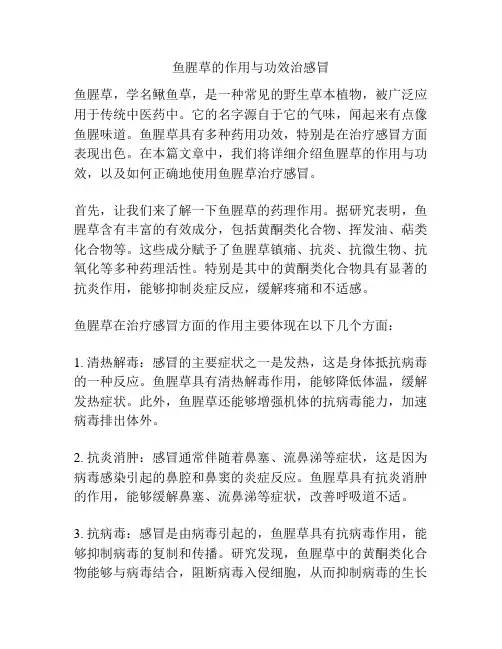 鱼腥草的作用与功效治感冒