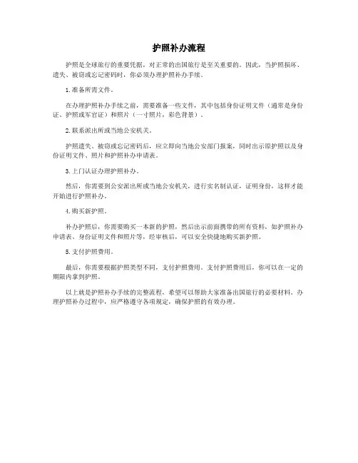 护照补办流程