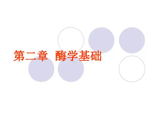 酶改性基本理论