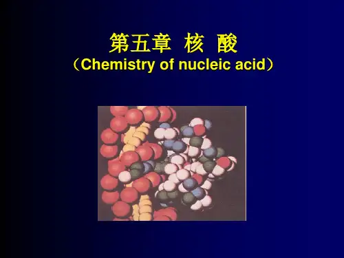 核酸化学(李信)解析