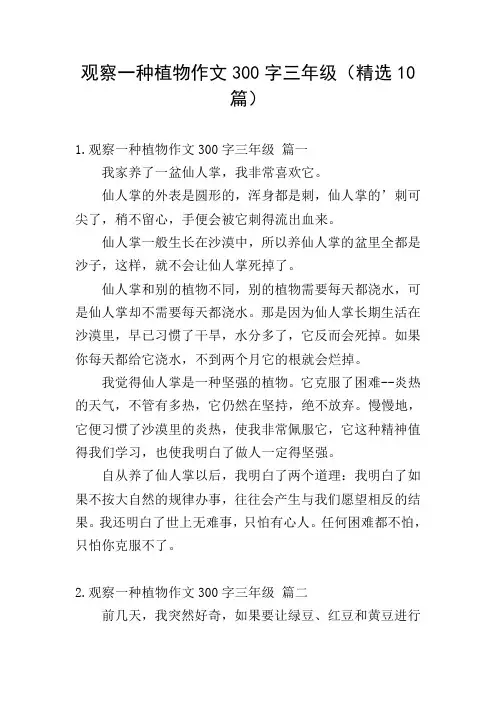 观察一种植物作文300字三年级(精选10篇)