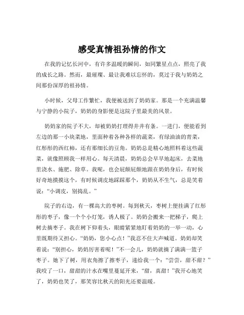 感受真情祖孙情的作文