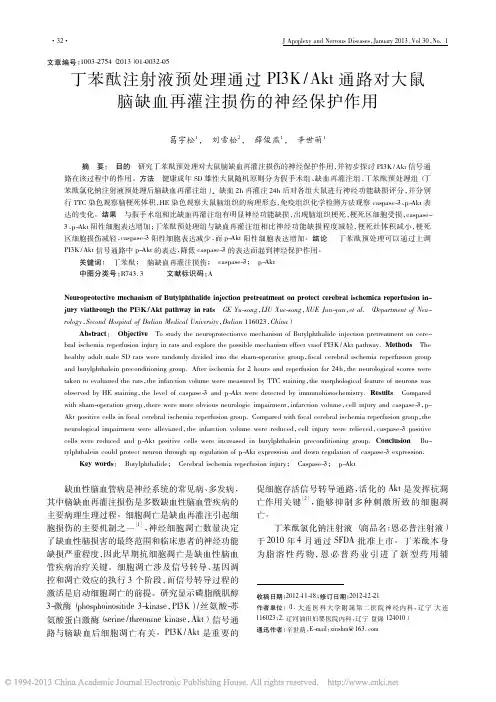 丁苯酞注射液预处理通过PI3K__省略_鼠脑缺血再灌注损伤的神经保护作用_葛宇松