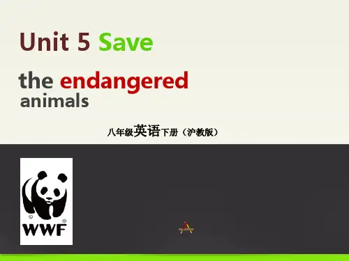 沪教八年级英语下Unit5Save the endangered animals公开课优质课比赛获奖课件