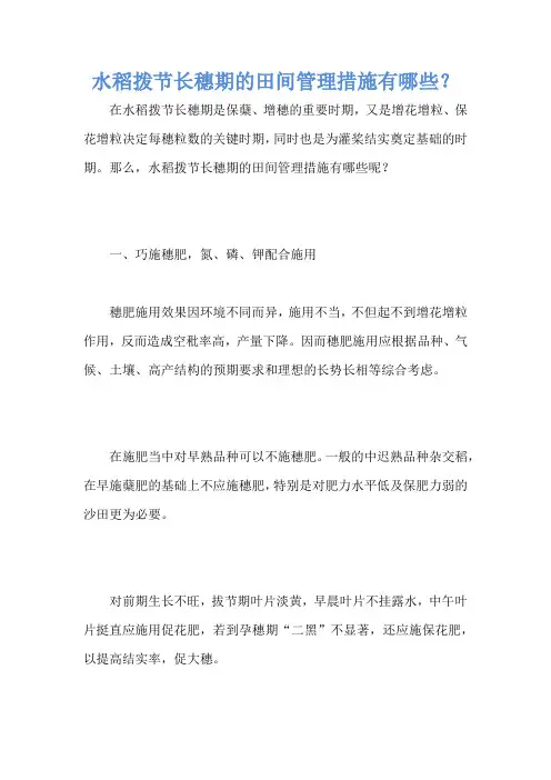 水稻拨节长穗期的田间管理措施有哪些？