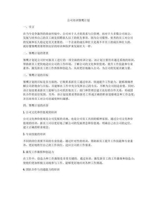 公司培训雏鹰计划