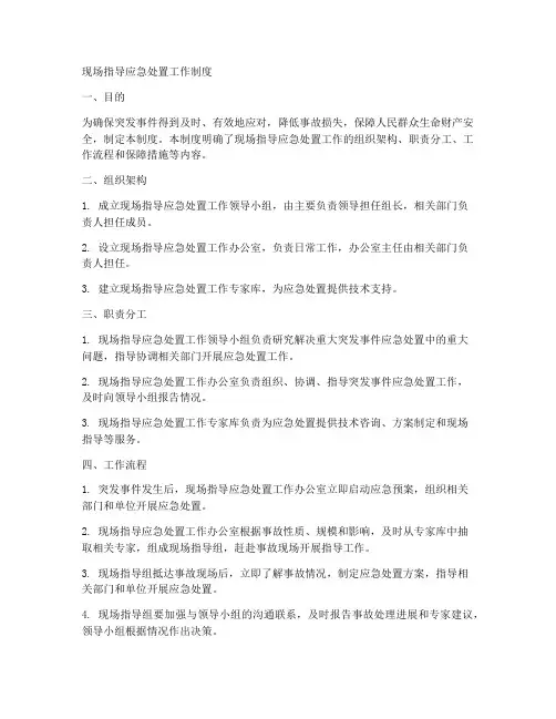 现场指导应急处置工作制度