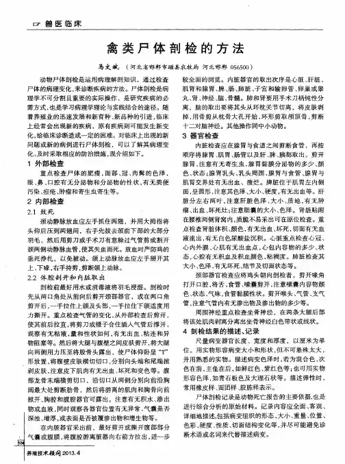 禽类尸体剖检的方法