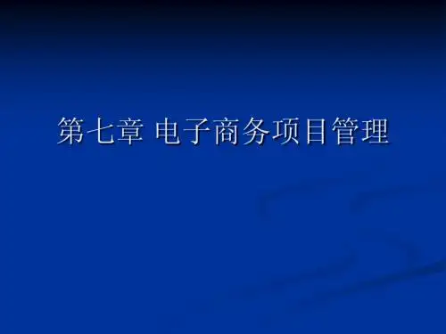 电子商务项目管理