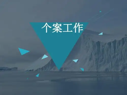 个案工作(全套课件259P)