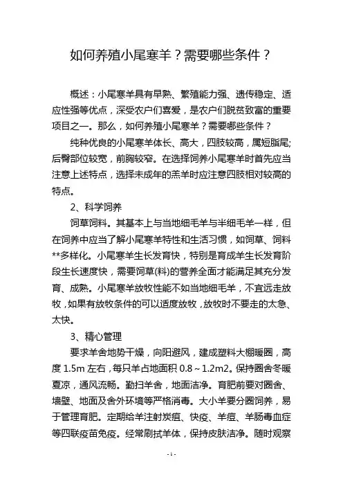 如何养殖小尾寒羊？需要哪些条件？