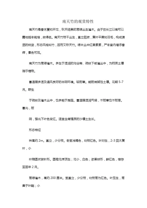 南天竹的观赏特性