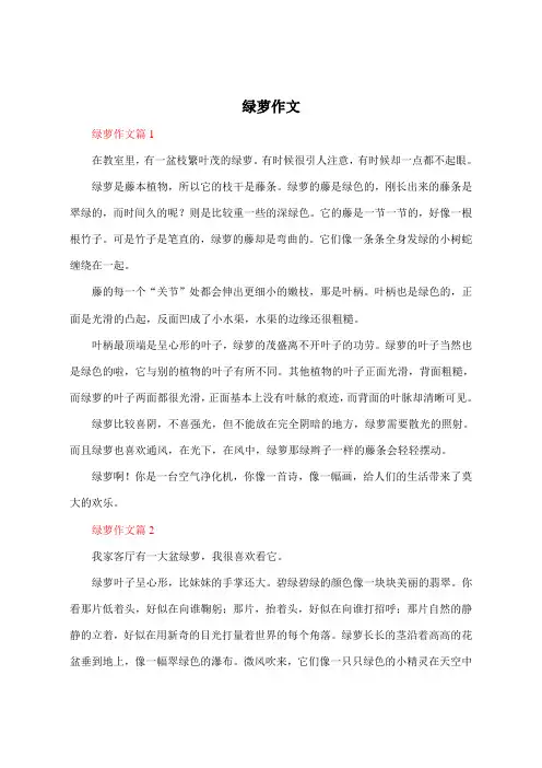 绿萝作文(19篇)