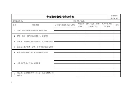 安全费使用登记台账(模板)