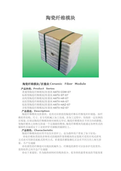陶瓷纤维模块