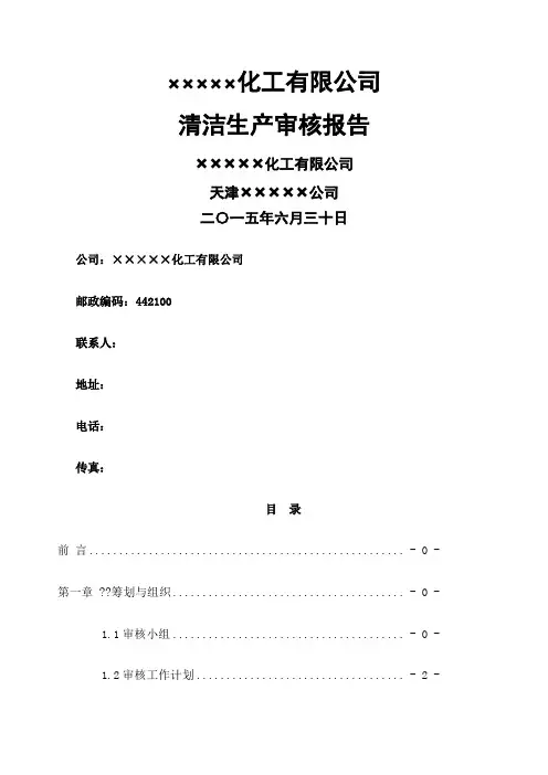 化工公司清洁生产审核报告