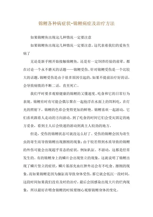 锦鲤各种病症状-锦鲤病症及治疗方法