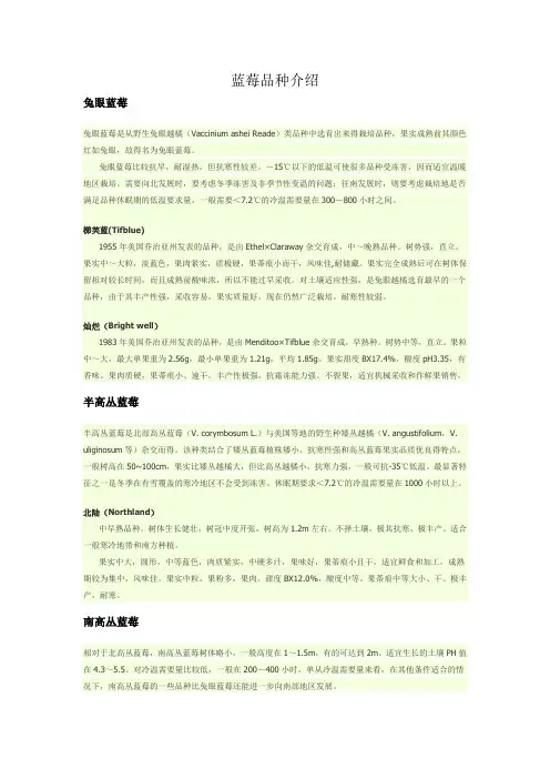 蓝莓品种介绍03