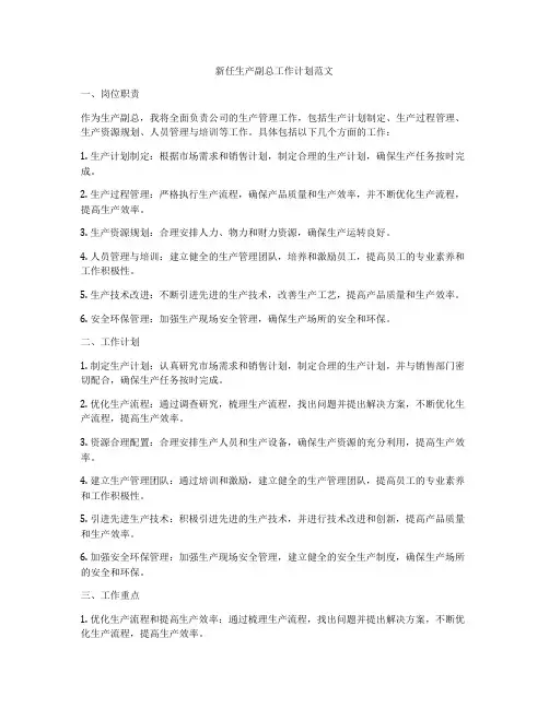 新任生产副总工作计划范文