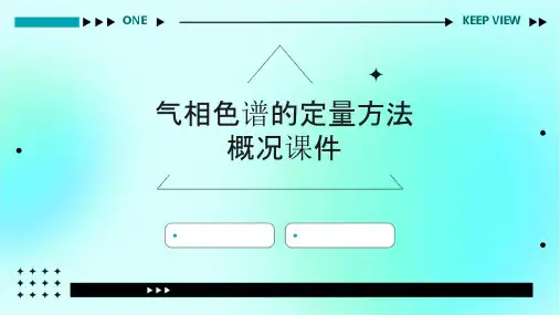 气相色谱的定量方法概况课件
