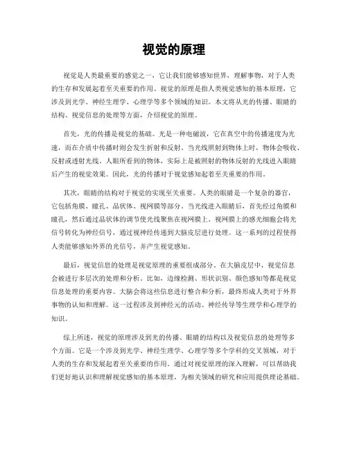 视觉的原理