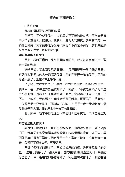 难忘的星期天作文