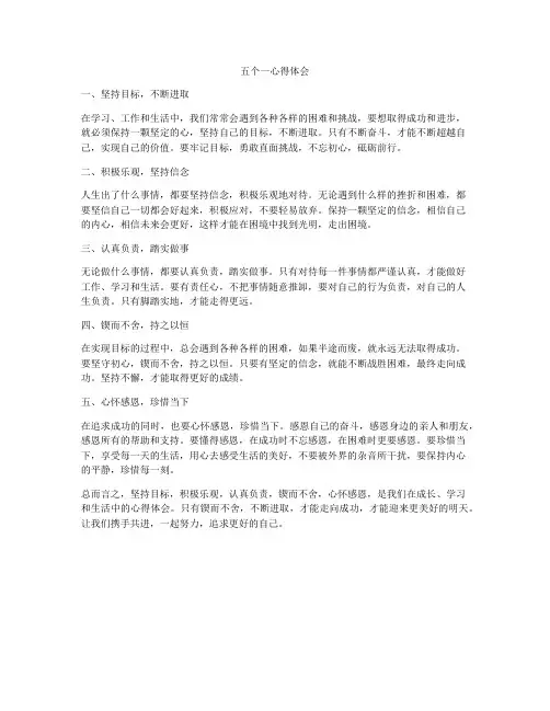 五个一心得体会