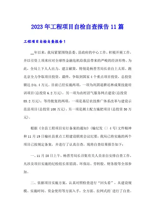 2023年工程项目自检自查报告11篇