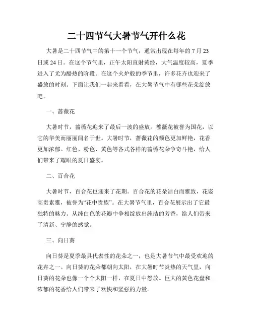 二十四节气大暑节气开什么花