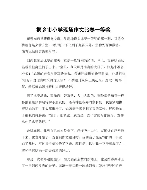 桐乡市小学现场作文比赛一等奖