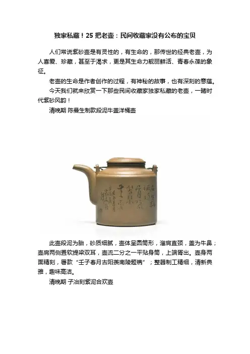 独家私藏！25把老壶：民间收藏家没有公布的宝贝