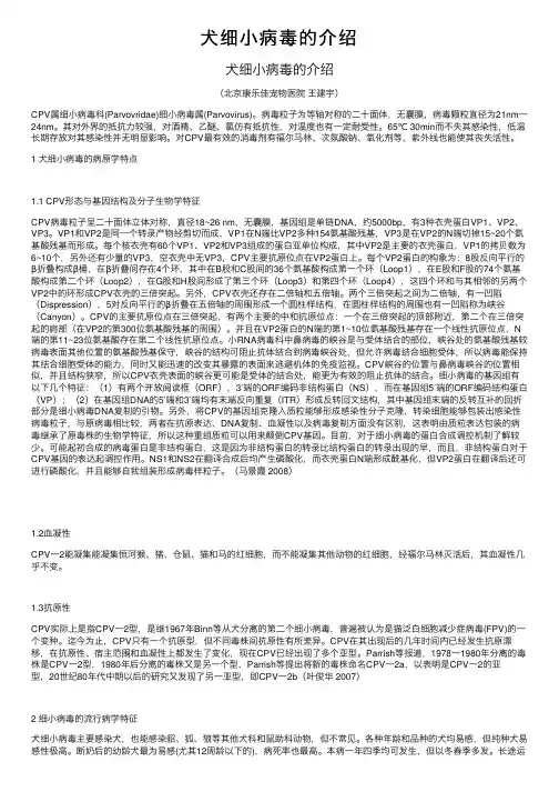 犬细小病毒的介绍