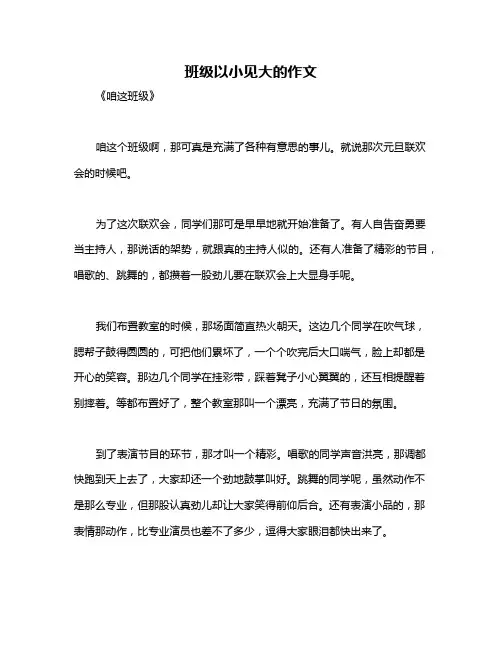 班级以小见大的作文