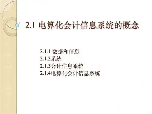 电算化会计信息系统