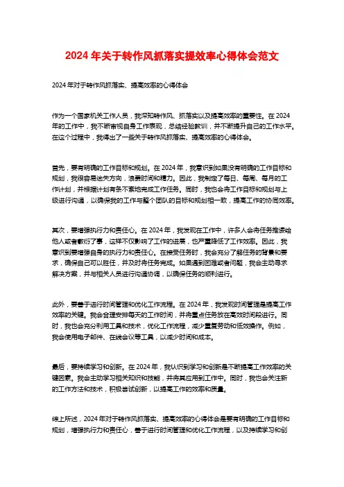 年关于转作风抓落实提效率心得体会范文