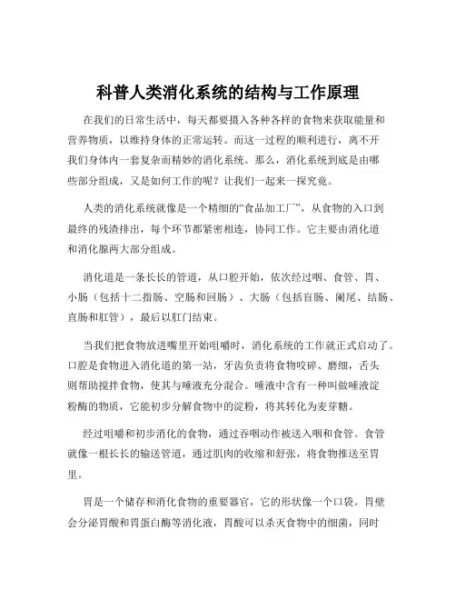 科普人类消化系统的结构与工作原理