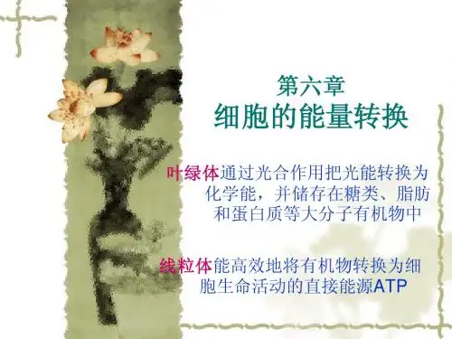 细胞生物学第6章