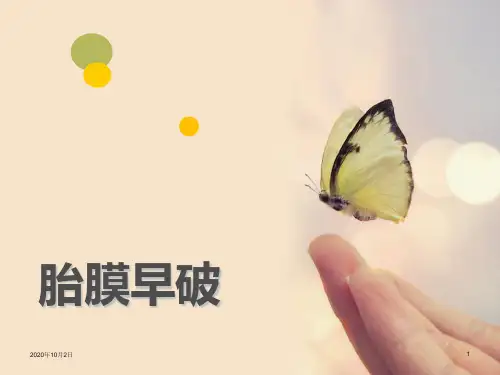 胎膜早破ppt妇产科PPT课件