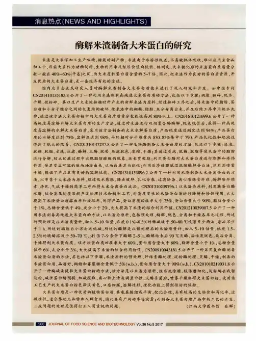 酶解米渣制备大米蛋白的研究
