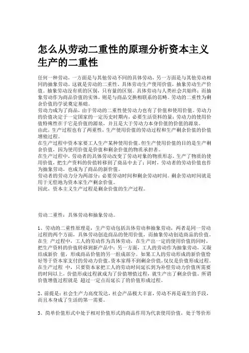 劳动的二重性原理分析剩余生产价值