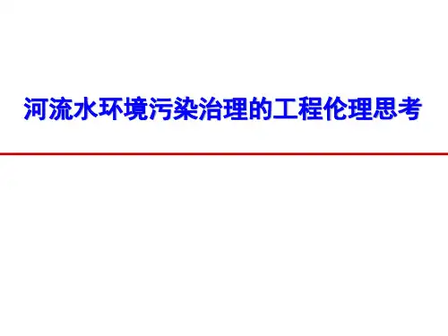 河流水环境污染治理的工程伦理思考