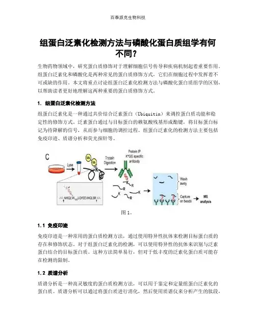 组蛋白泛素化检测方法与磷酸化蛋白质组学有何不同？