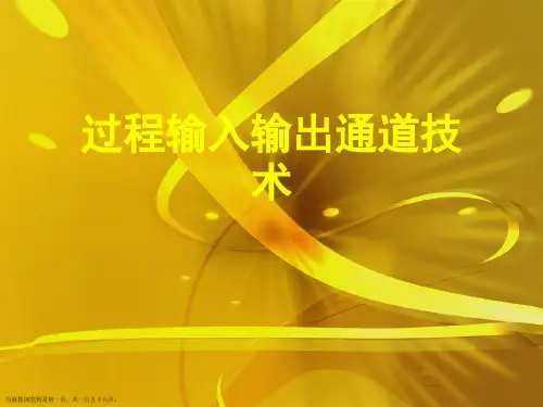 过程输入输出通道技术